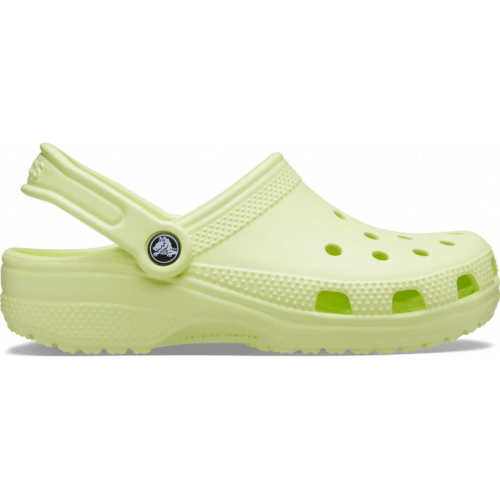 Mint Women's Crocs Classic Clogs | NZ 0170FDNM